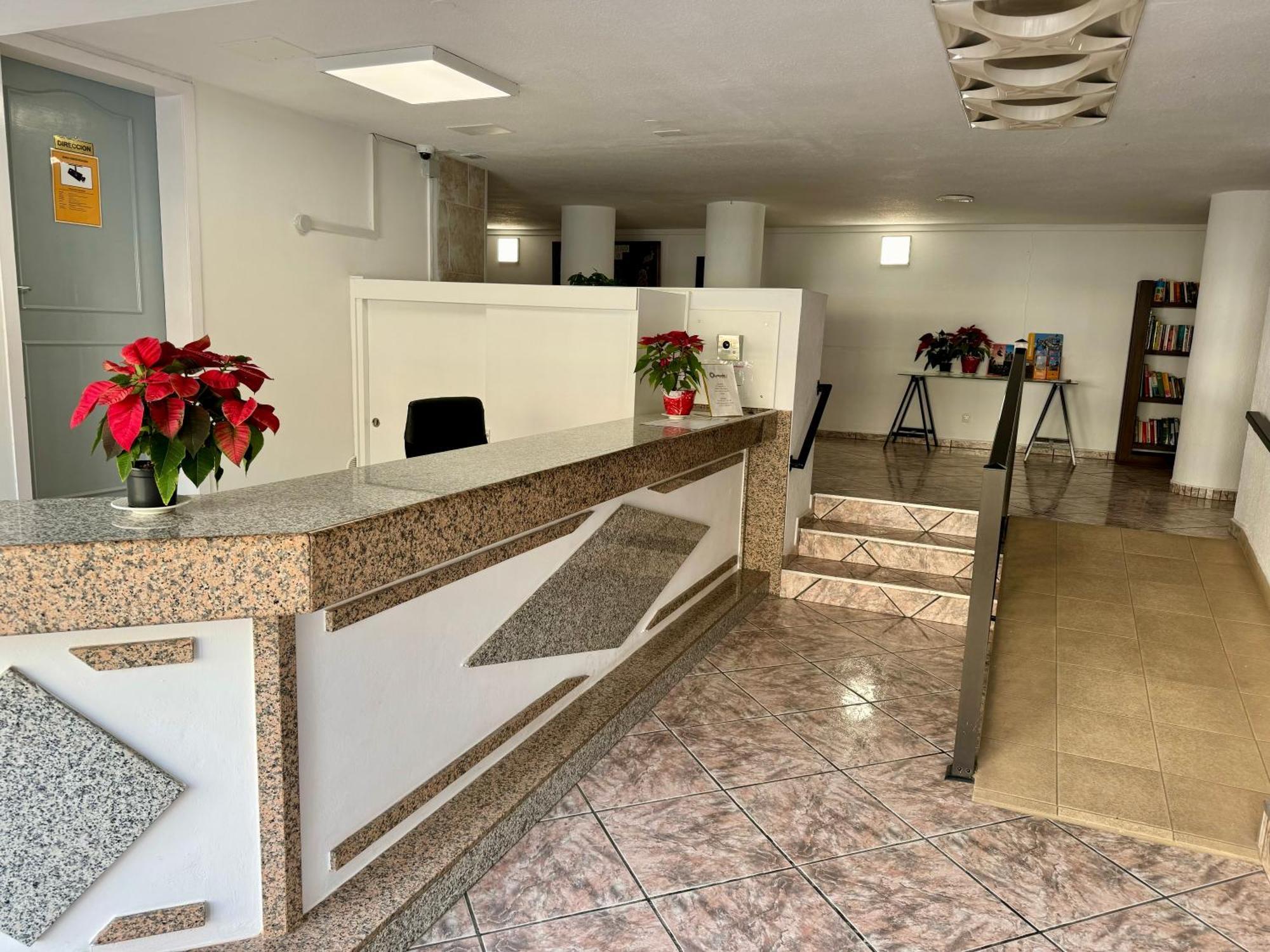 Olympia Palmalicious Apartment Playa de las Americas  Exterior photo