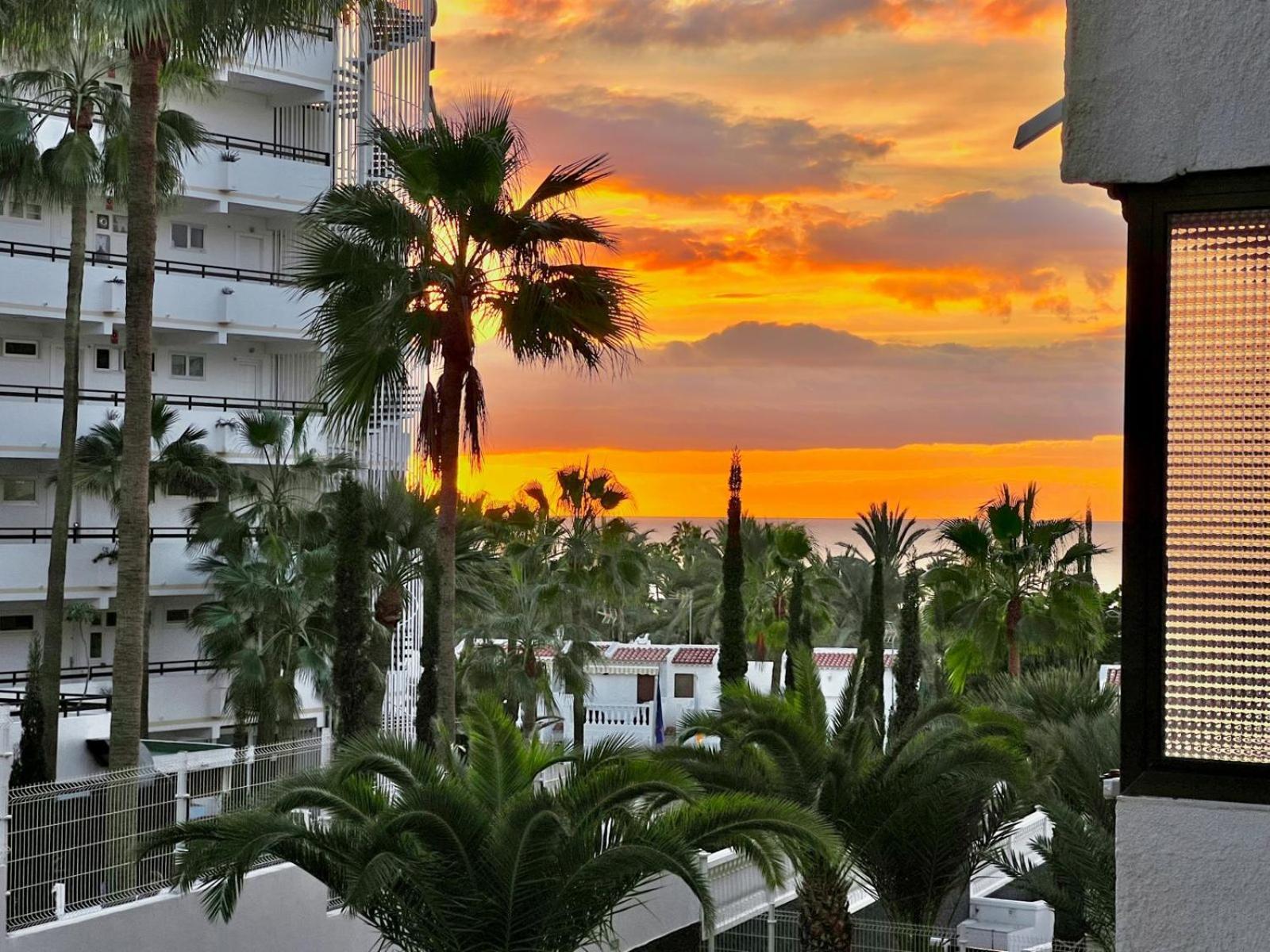 Olympia Palmalicious Apartment Playa de las Americas  Exterior photo